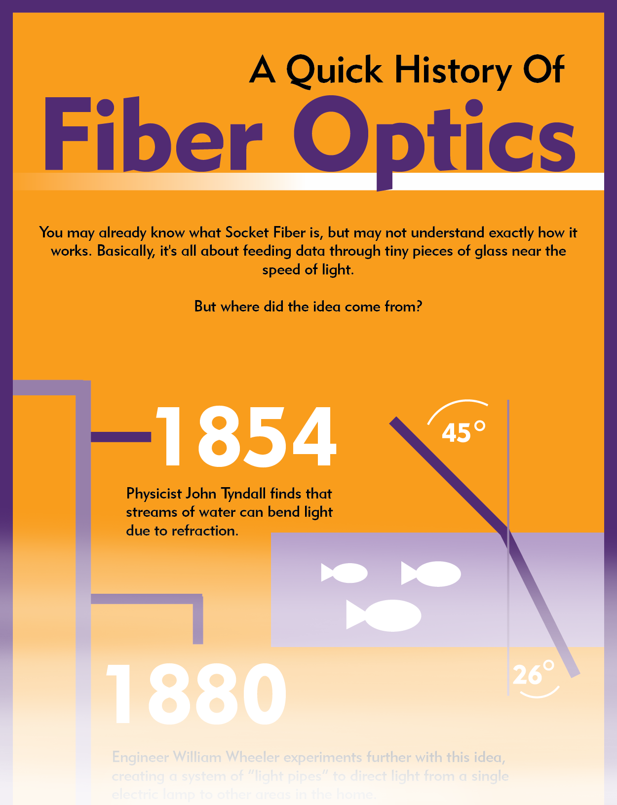 Infographic titled "History of Fiber"