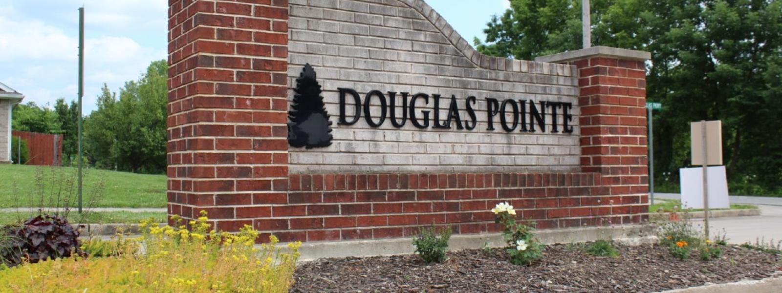 Douglas Pointe Area Hallsville